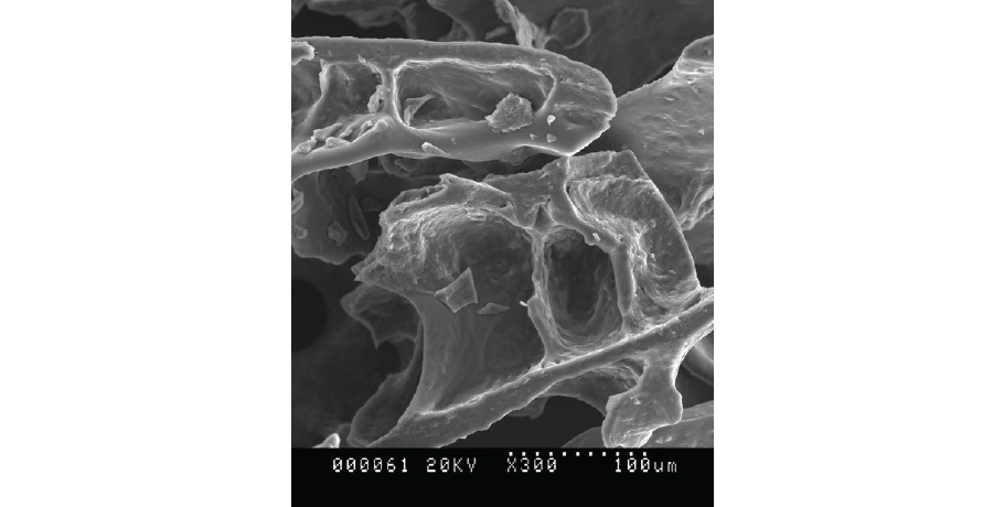 Freeze drying of vriesdrogen houdt in dat de puree snel wordt ingevroren